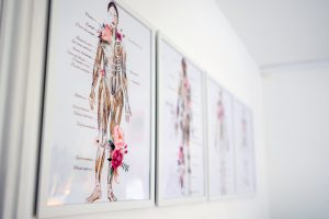 Anatomy posters decorated with floral images